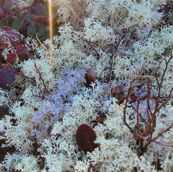 Meet Your Posher - Picture 2 of 11